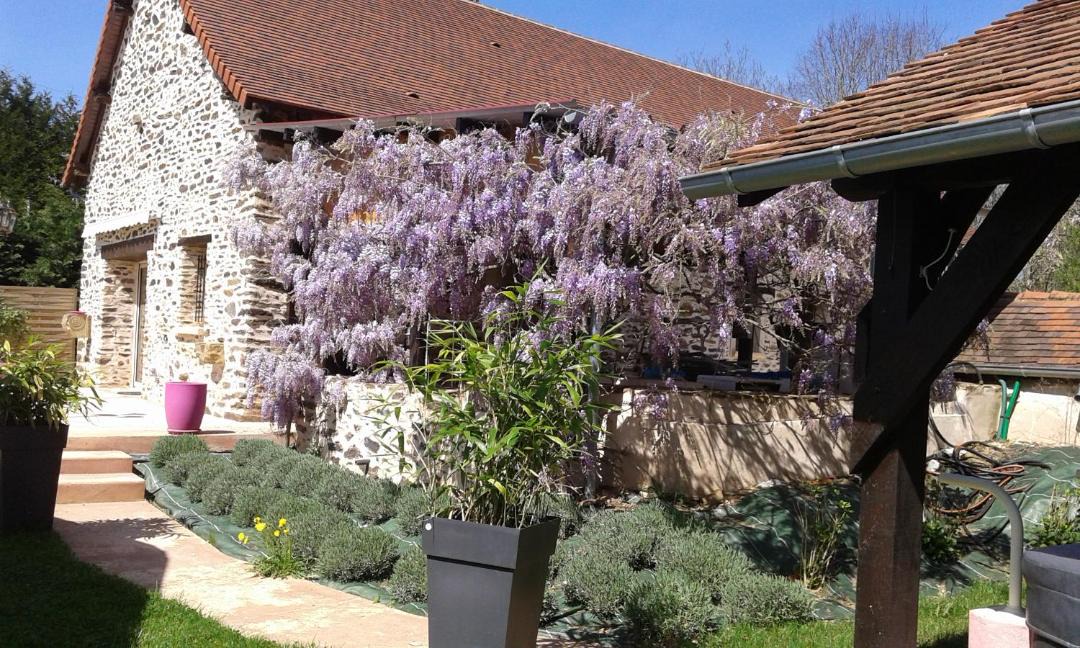 Photo of Others in Sarlande