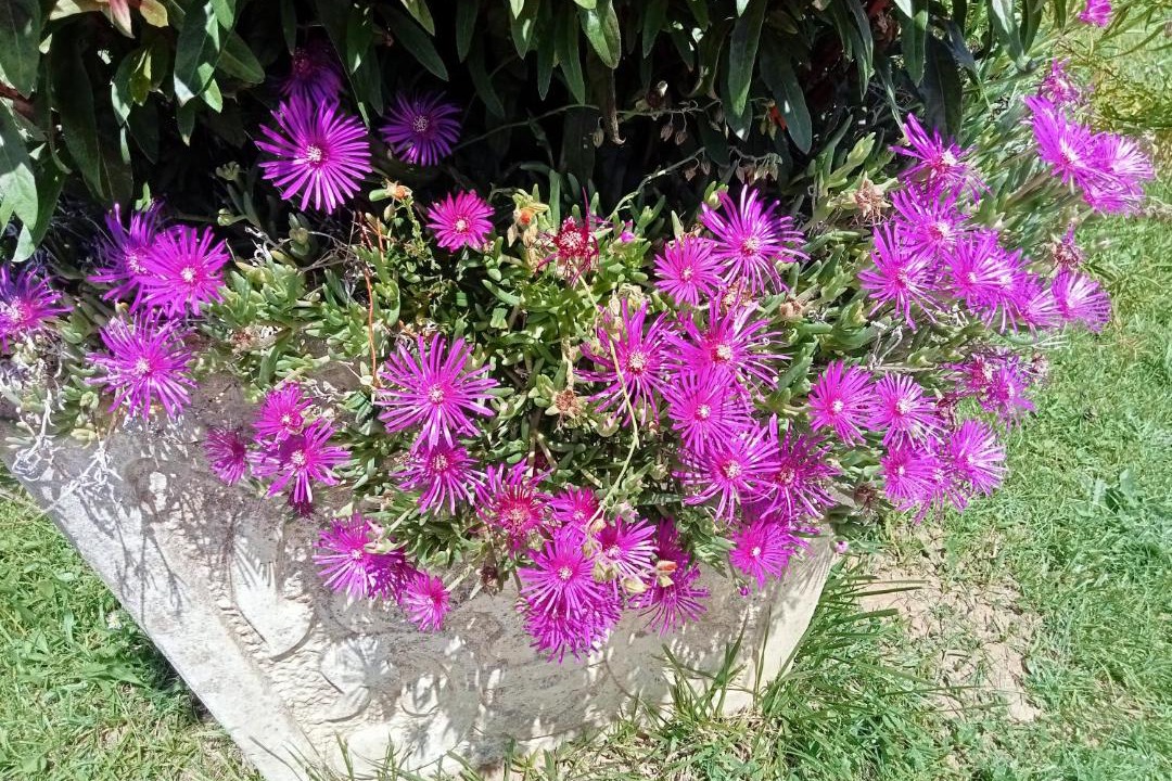 Photo of Others in Betchat