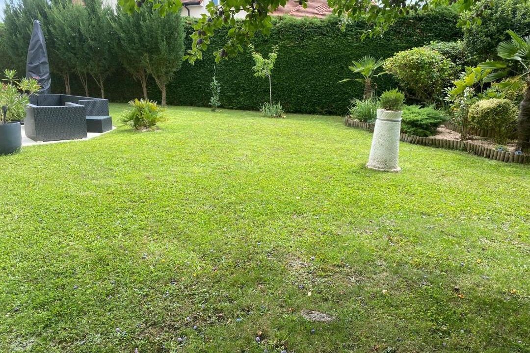 Photo of Others in Magny-le-Hongre