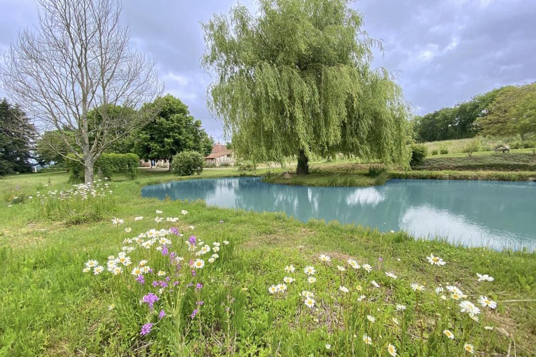 Photo of Others in Moulins-le-Carbonnel