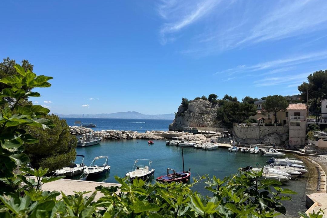 Photo of Others in Calanque de Morgiou