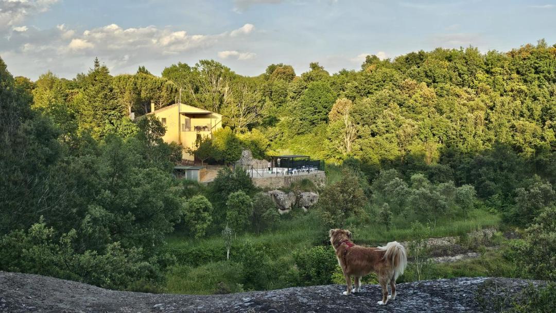 Photo of Others in Casserres