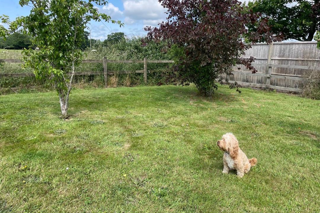 Photo of Others in Martin