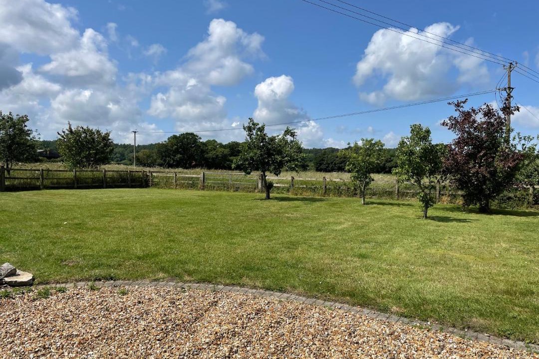 Photo of Others in Martin