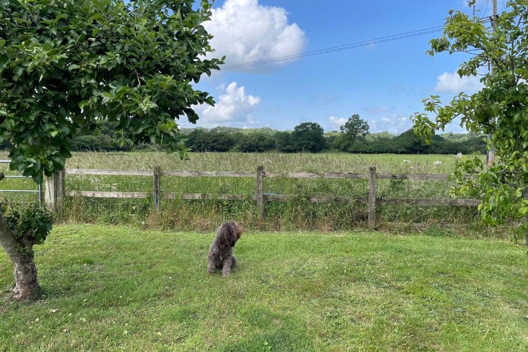 Photo of Others in Martin