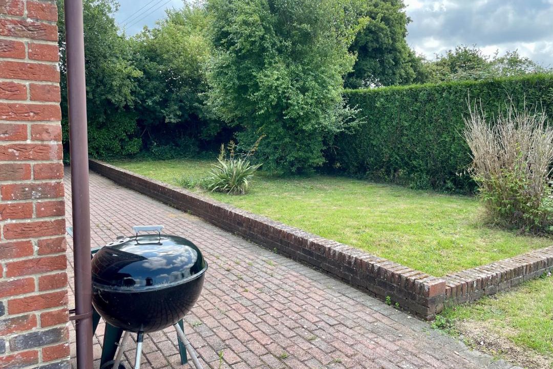 Photo of Others in Martin