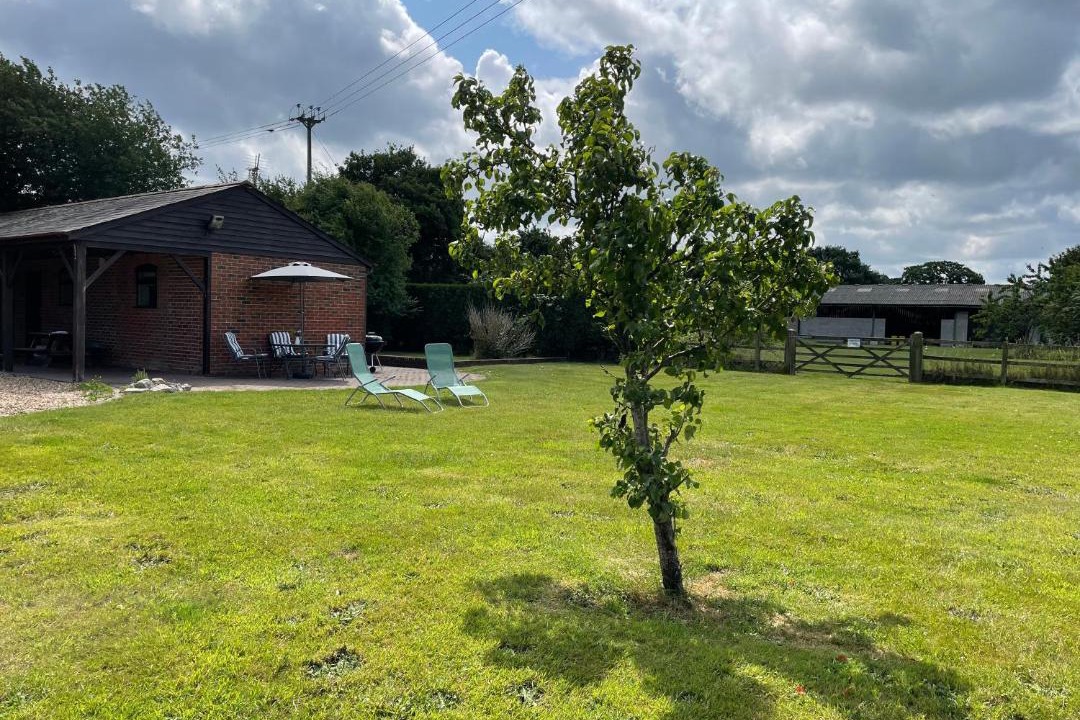 Photo of Others in Martin