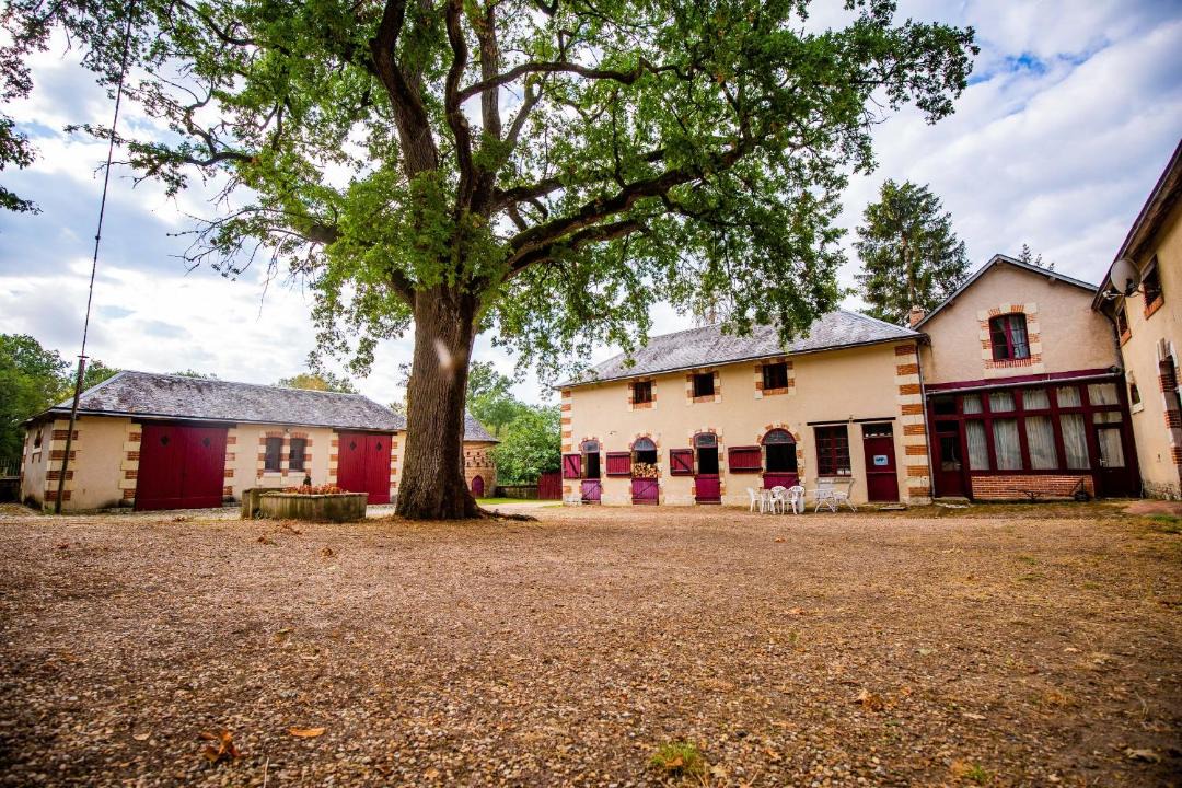 Photo of Others in Cour-Cheverny