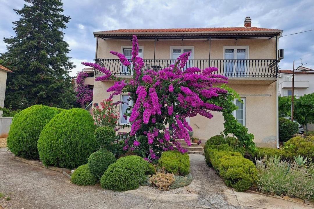 Photo of Others in Biograd na Moru