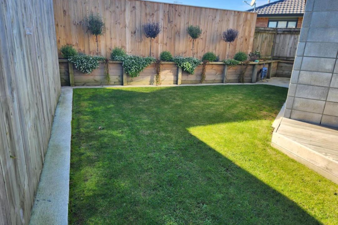 Photo of Others in Whanganui