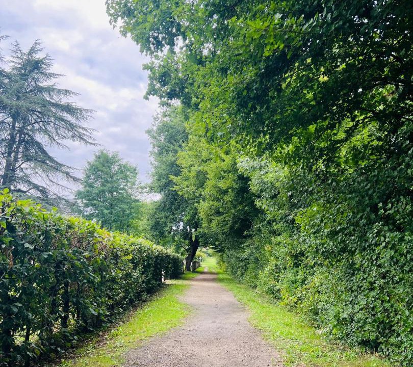 Photo of Outdoor in Ligny-le-Ribault