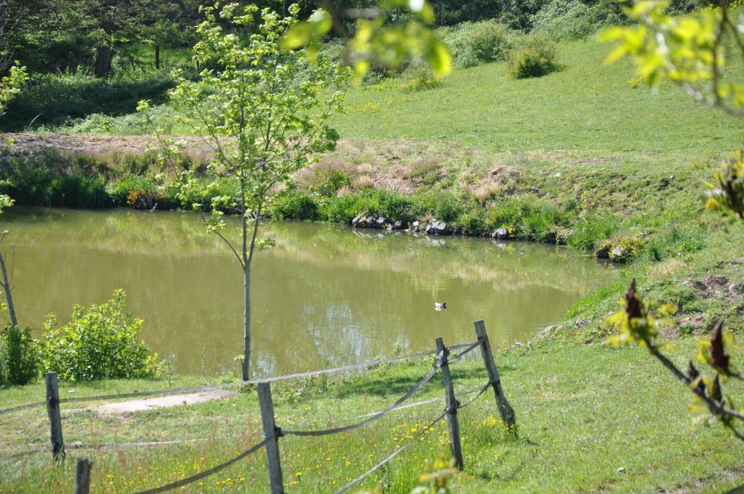 Photo of Others in Pollionnay