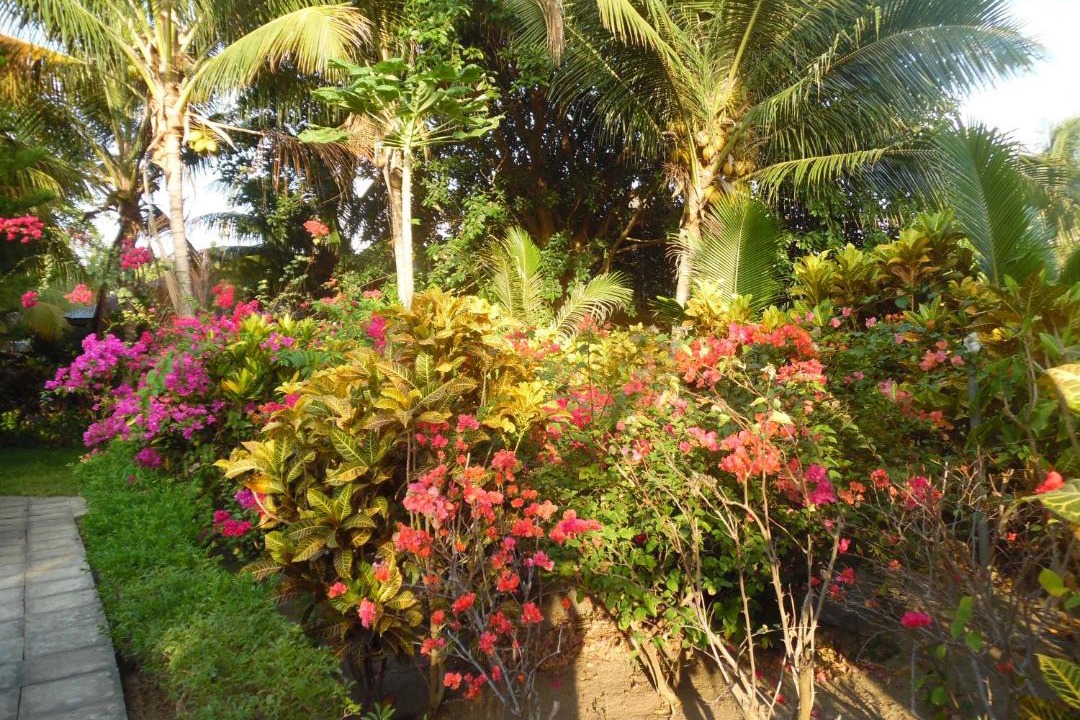 Photo of Others in Maumere