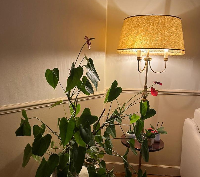 Photo of Livingroom in Silly-Gallieni