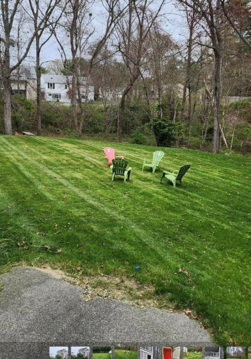 Photo of Others in East Falmouth