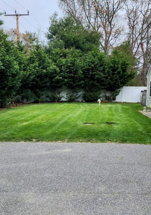 Photo of Others in East Falmouth