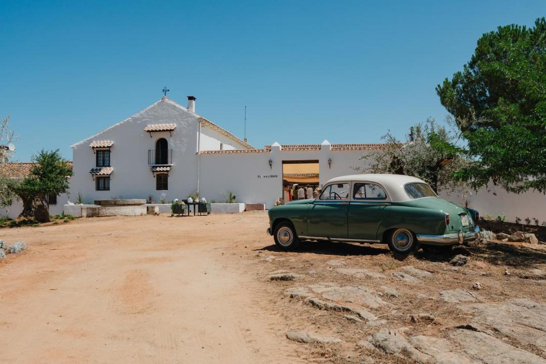 Photo of Others in Mora