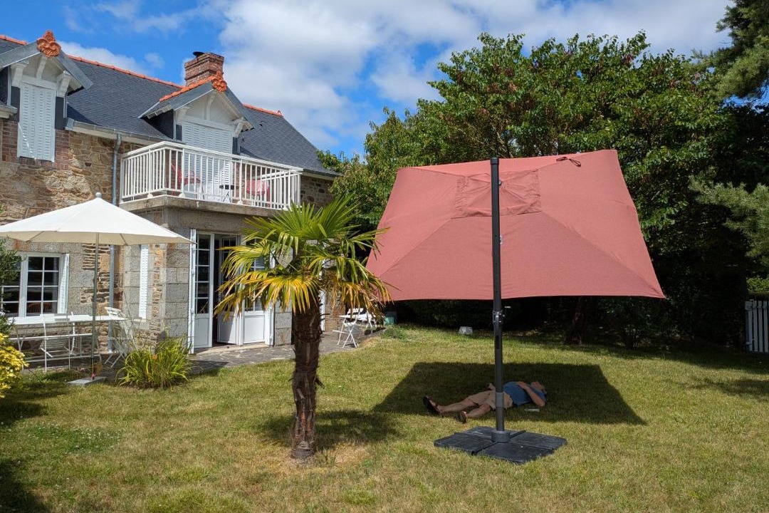 Photo of Others in Vains