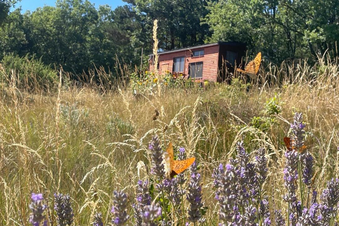 Photo of Others in Cubieres-sur-Cinoble