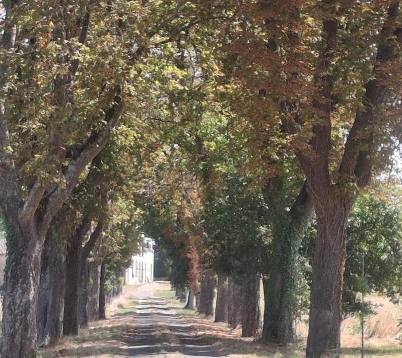 Photo of Others in Castelsarrasin