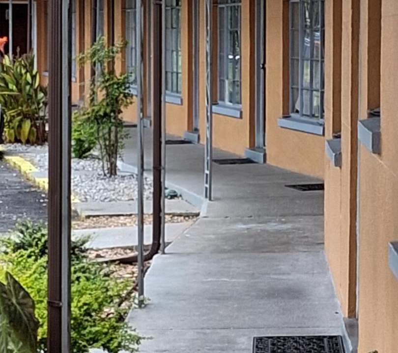 Photo of Others in Townsend