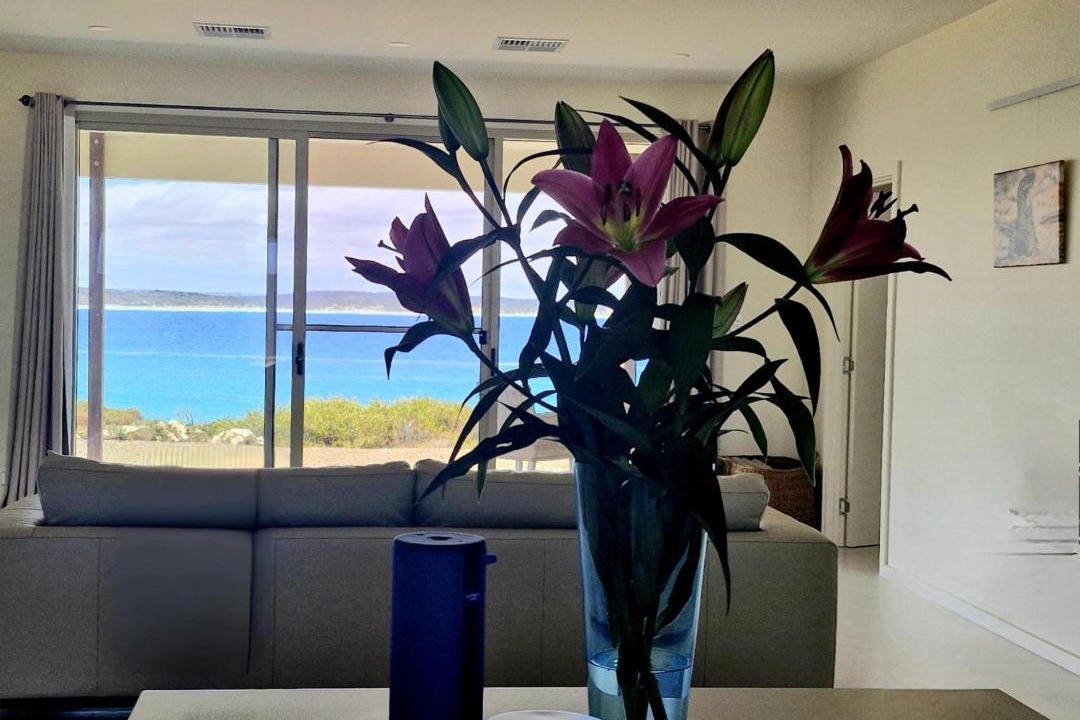 Photo of Others in Newland