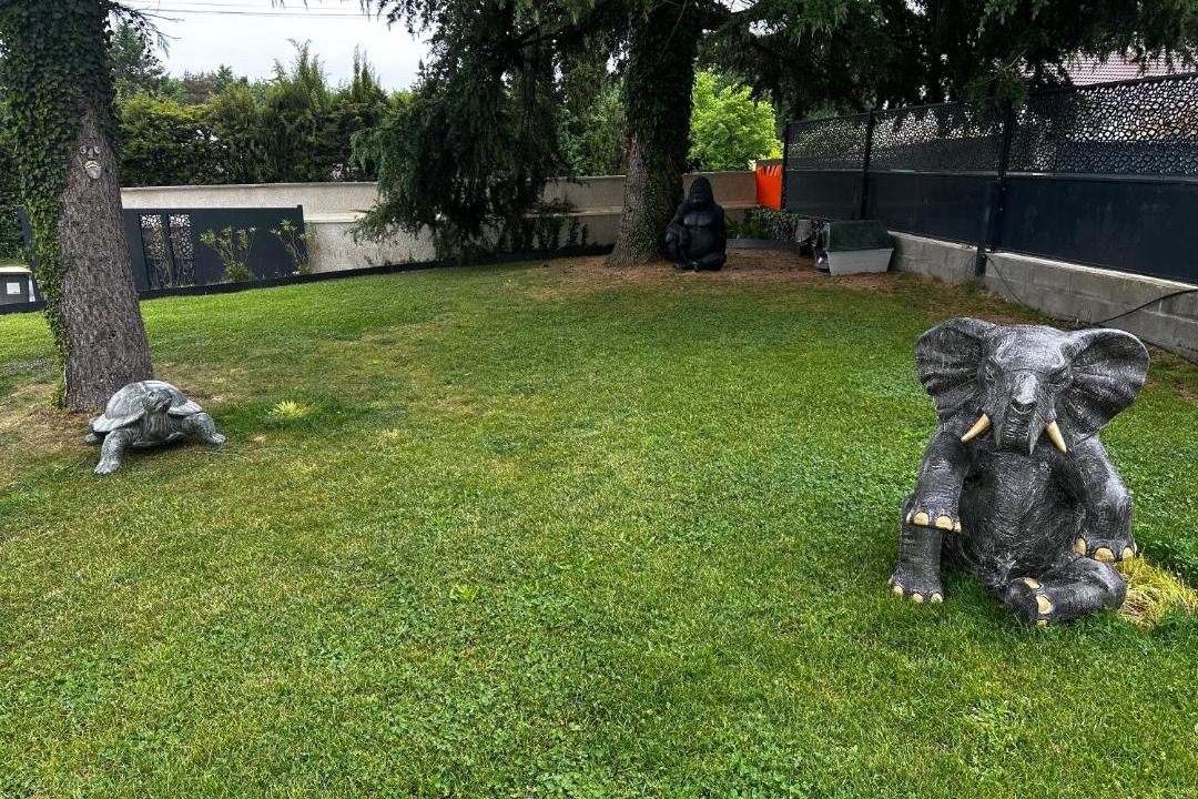 Photo of Others in Domerat