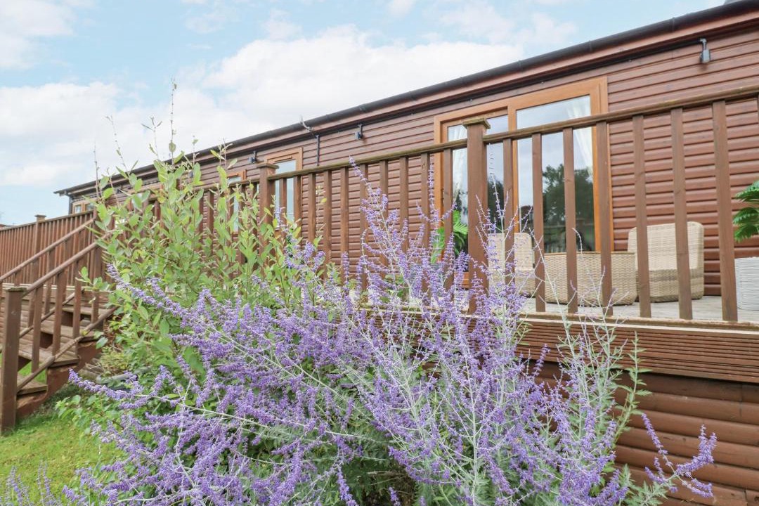 Photo of Others in Tunstall