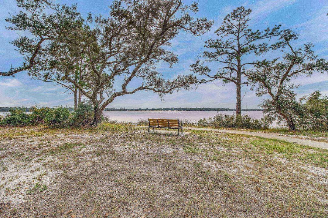 Photo of Others in Navy Point