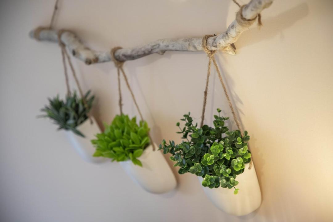 Photo of Others in Lourdes