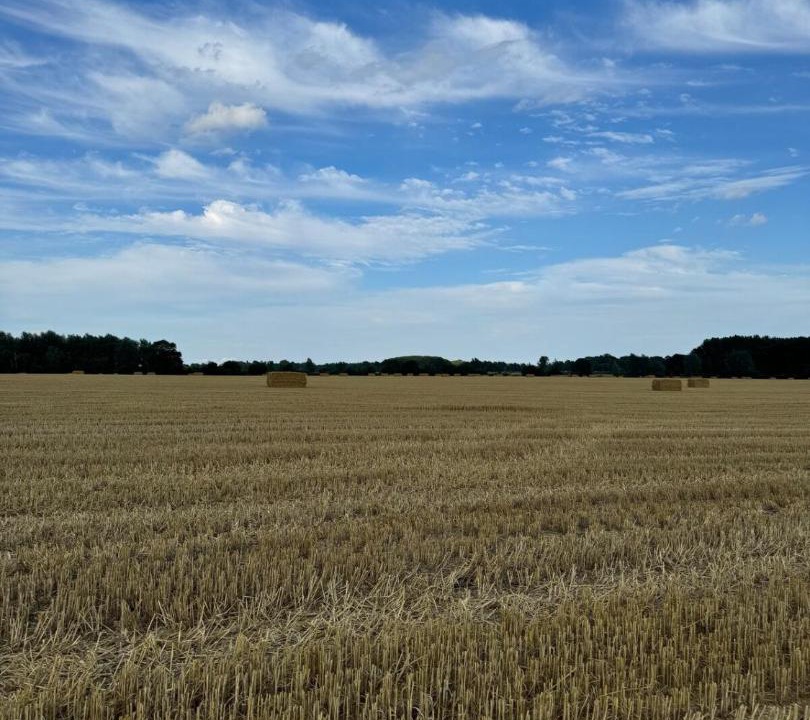 Photo of Others in Messing