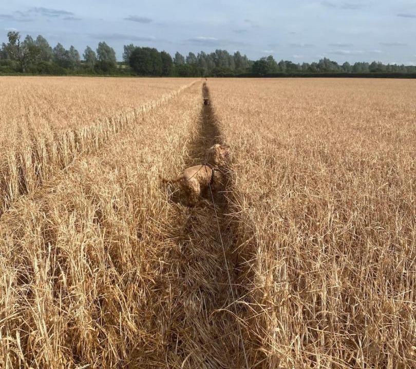 Photo of Others in Messing