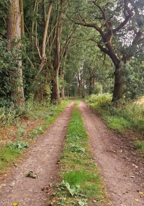 Photo of Others in Messing