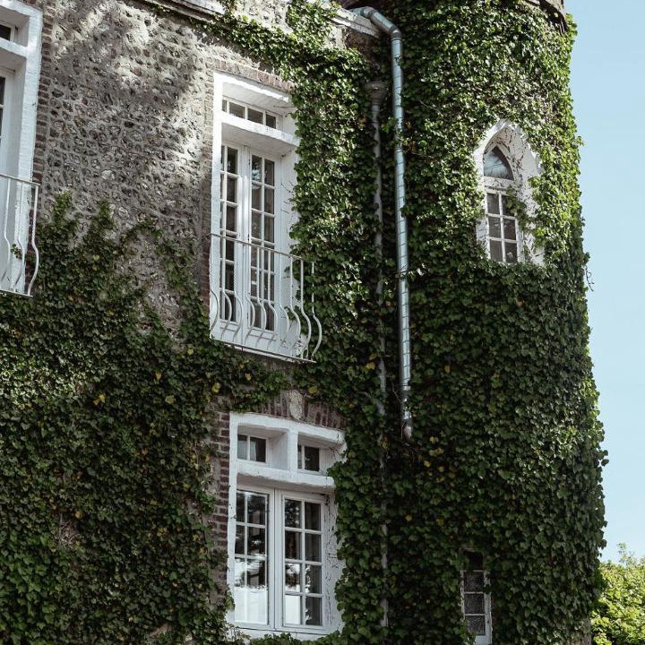 Photo of Others in Etretat