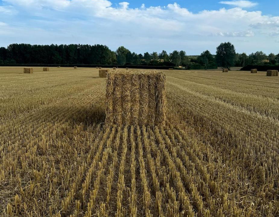 Photo of Others in Messing