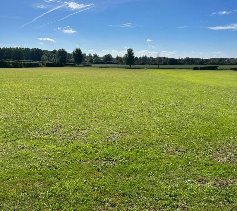 Photo of Others in Messing