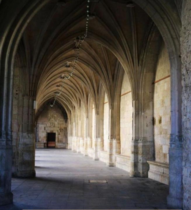 Photo of Others in Condom