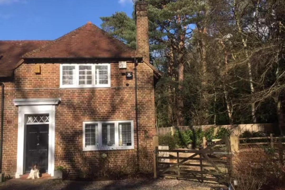 Photo of Others in Rogate