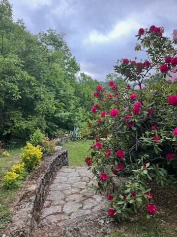 Photo of Outdoor in Le Collet-de-Deze