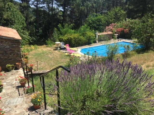 Photo of Others in Le Collet-de-Deze