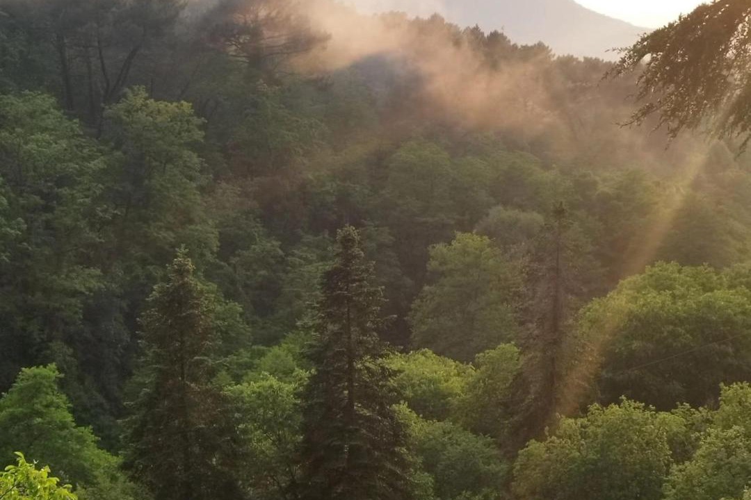 Photo of Others in Saint-Jean-de-Valeriscle