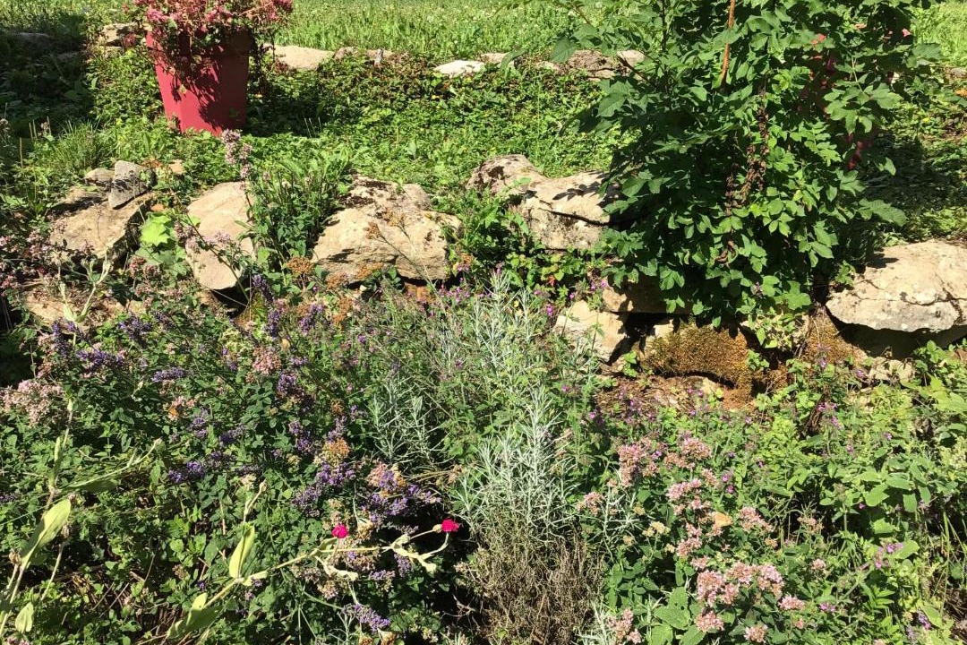 Photo of Outdoor in Le Fied