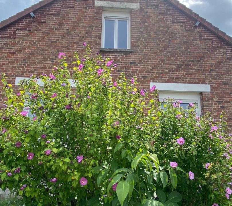 Photo of Others in Laon