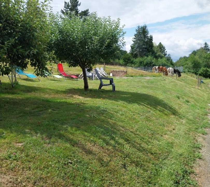 Photo of Others in Muhlbach-sur-Bruche