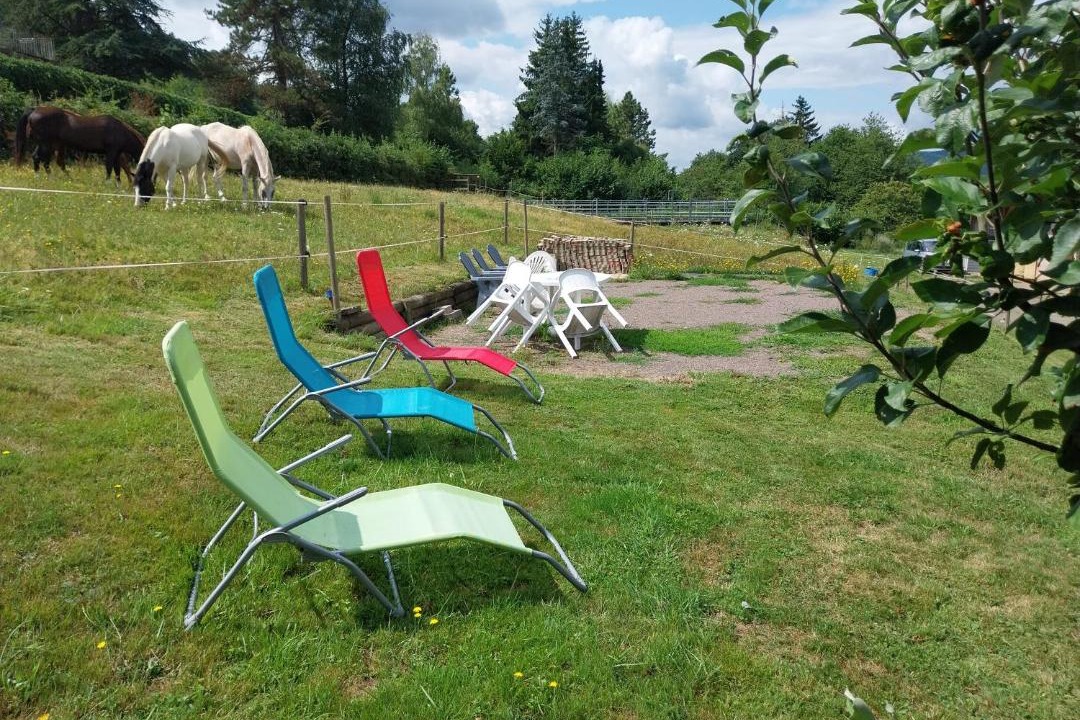 Photo of Others in Muhlbach-sur-Bruche