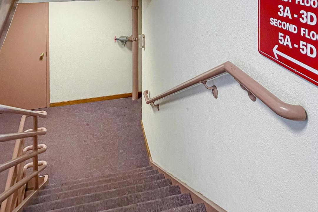 Photo of Others in West Dover