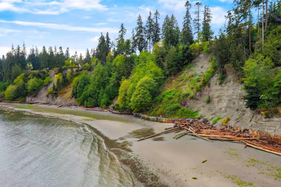 Photo of Others in Camano Island