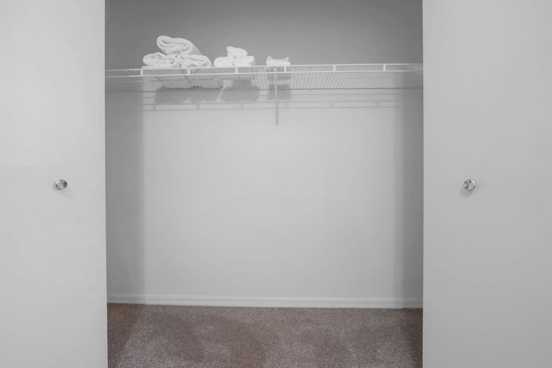 Photo of Others in Tampa