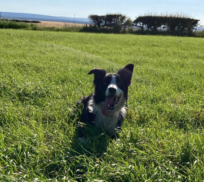 Photo of Others in Stocksfield