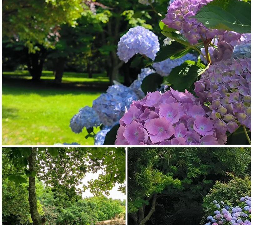 Photo of Outdoor in Plourin